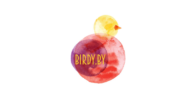 Birdby Logo Design 1