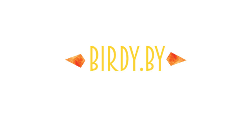Birdby Logo Design 2