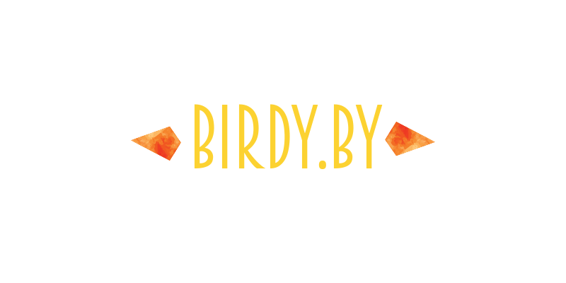 Birdby Logo Design 3